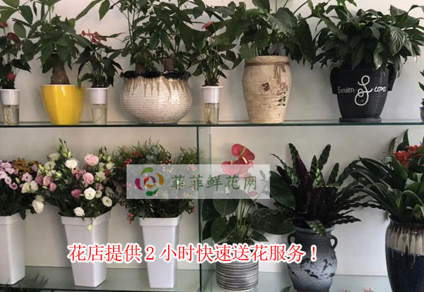 锦屏花店提供锦屏2小时快速送花服务