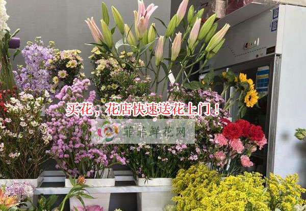 锦屏买花,锦屏花店快速送花上门!