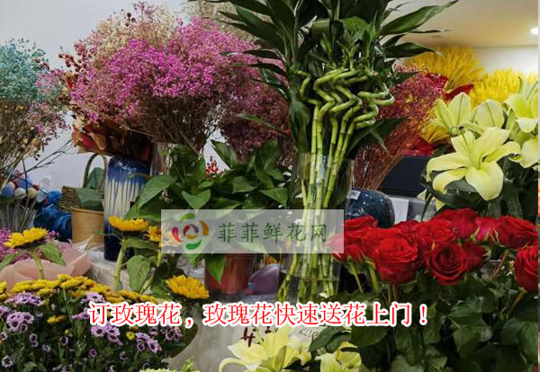 锦屏订玫瑰花,锦屏玫瑰花快速送花上门!