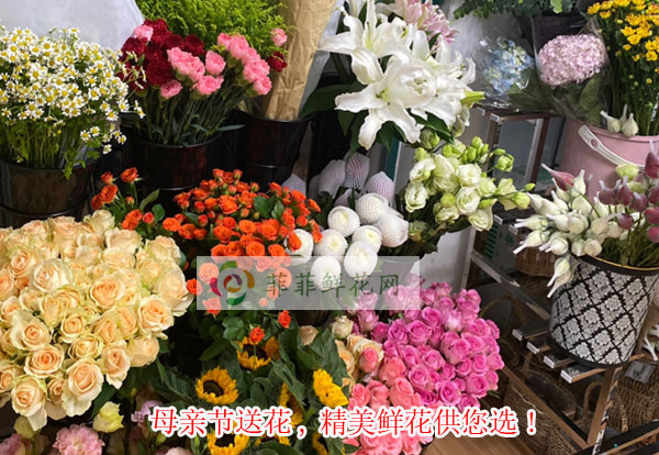 2024锦屏母亲节送花,锦屏精美鲜花供您选!